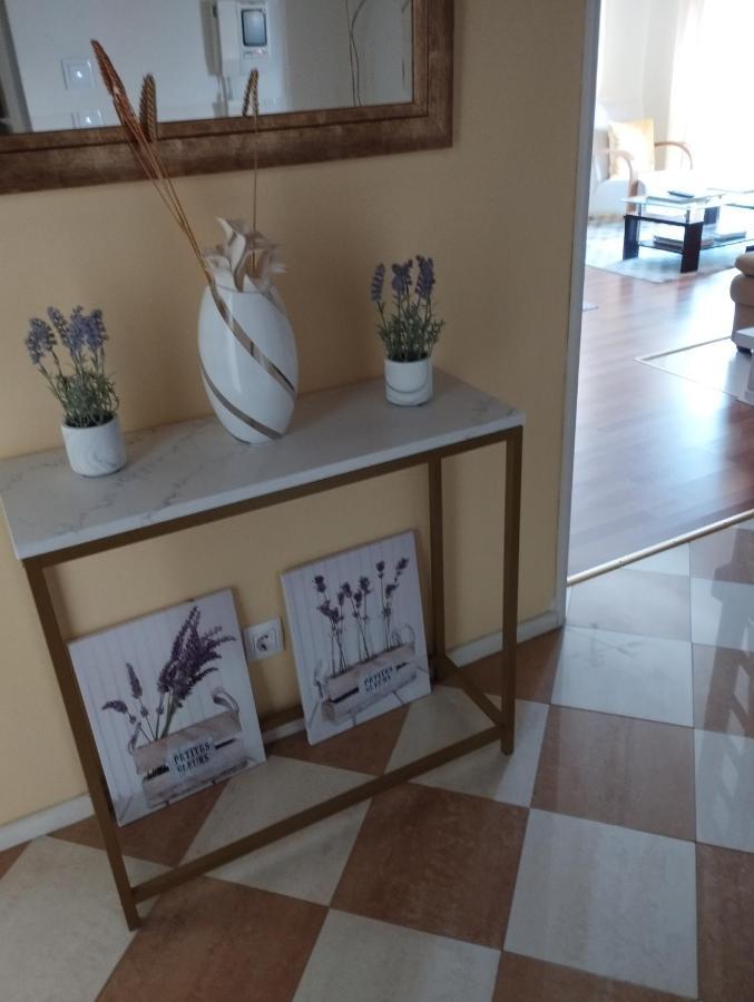 טומאר Alameda Residence מראה חיצוני תמונה